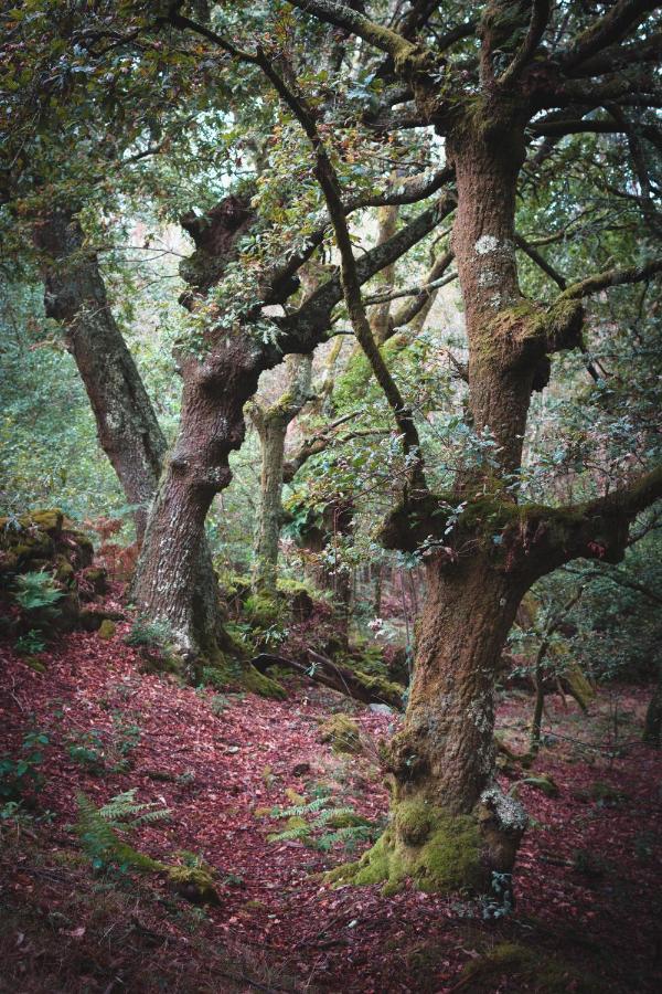 ポンテベドラ Veiga Marinaゲストハウス エクステリア 写真